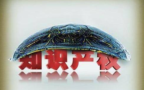 南山知識產(chǎn)權(quán)聯(lián)盟成立
