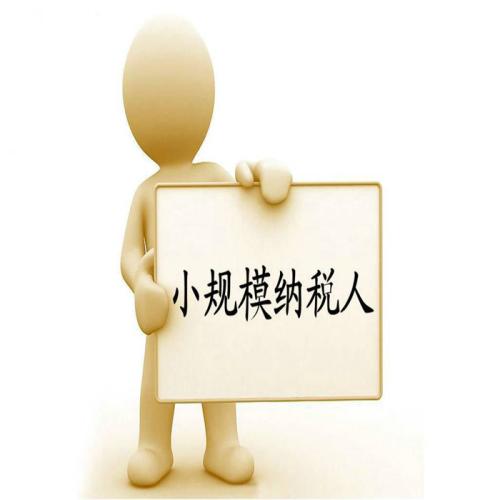 小規(guī)模登記成一般人將在網(wǎng)上辦理，截止日期是2018.11.20前